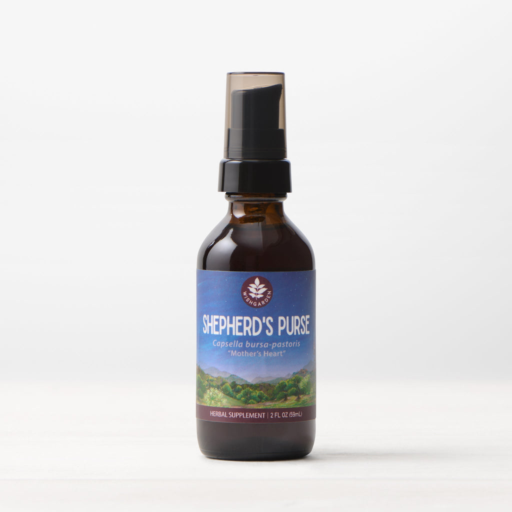 Shepherd's Purse